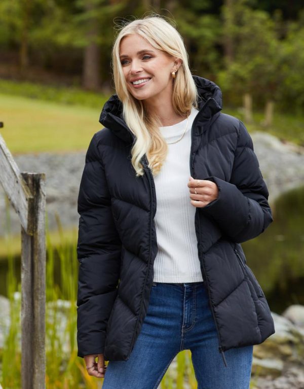 Foggyshore.shop3354758c58 1