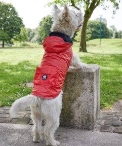 Foggyshore.shop3485804fc2 1