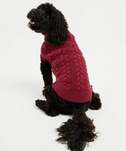 Foggyshore.shop34f402a322 3