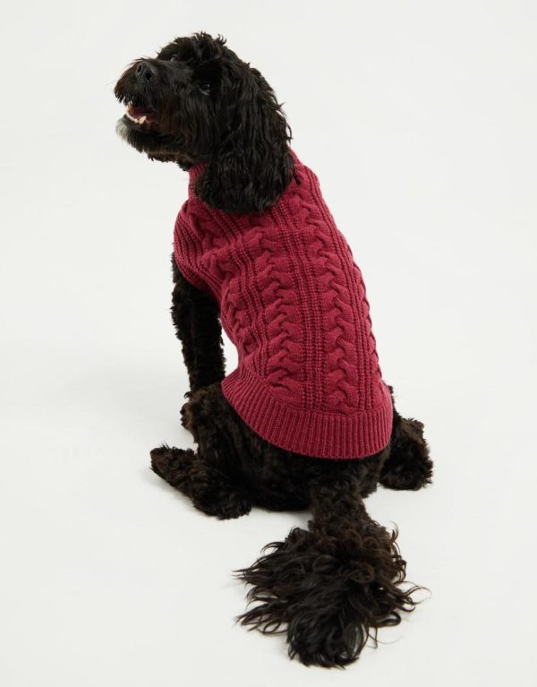 Foggyshore.shop34f402a322 3