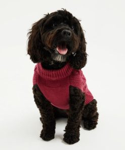 Foggyshore.shop34f402a322 4