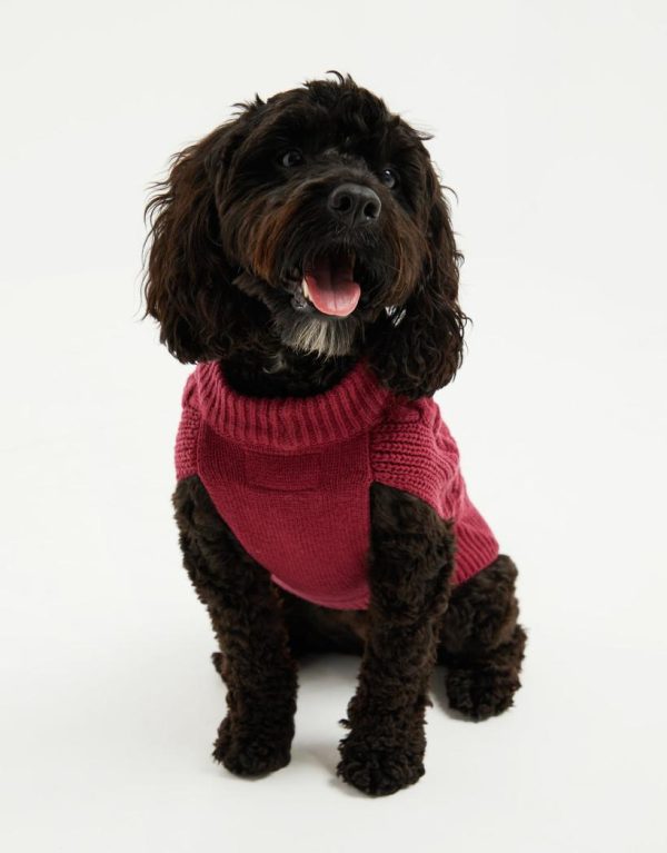 Foggyshore.shop34f402a322 4