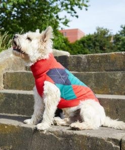 Foggyshore.shop37c9d2b919 1