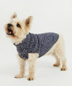 Foggyshore.shop3c12d45fb0 1