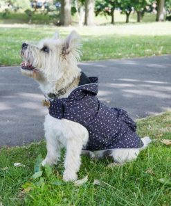 Foggyshore.shop3f04a07207 1