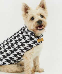 Foggyshore.shop3f08ca71b2 1