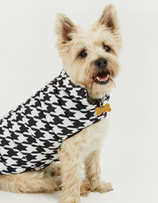 Foggyshore.shop3f08ca71b2 1