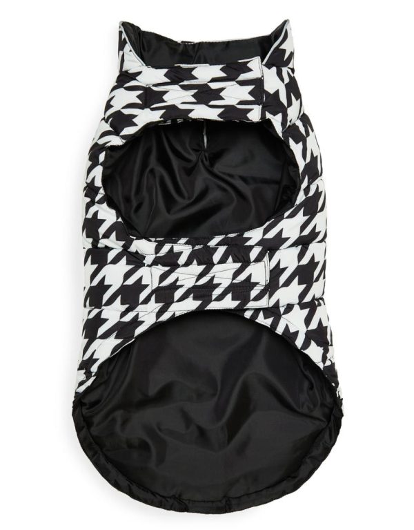 Foggyshore.shop3f08ca71b2 3