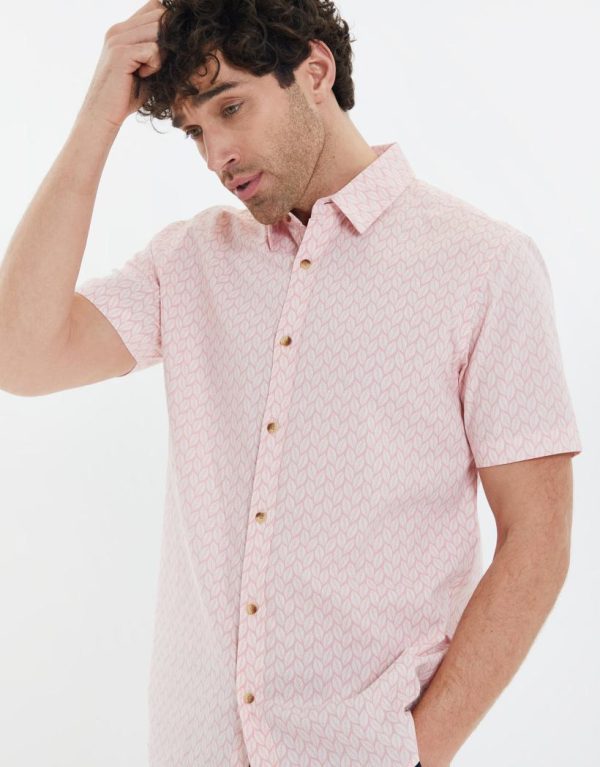 Foggyshore.shop40c2661360 4