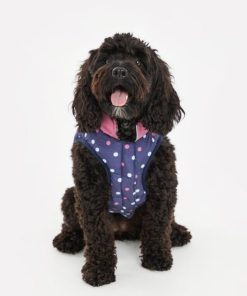 Foggyshore.shop5a00741ada 1