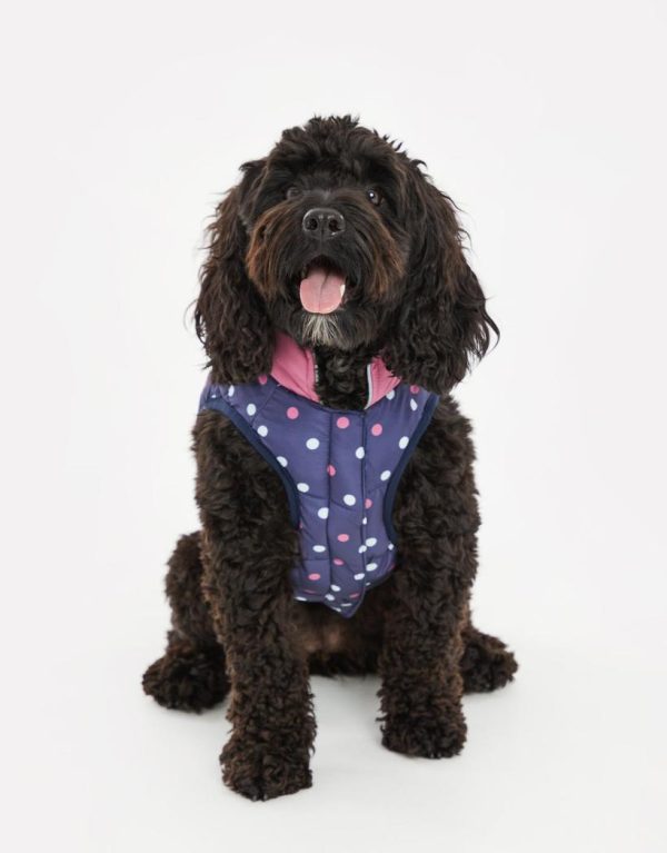 Foggyshore.shop5a00741ada 1