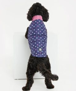 Foggyshore.shop5a00741ada 2