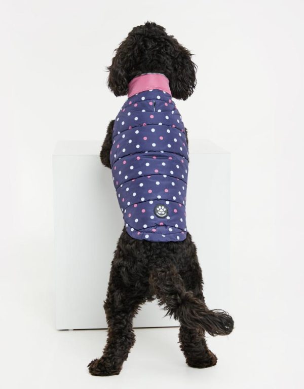 Foggyshore.shop5a00741ada 2