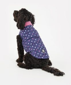 Foggyshore.shop5a00741ada 3