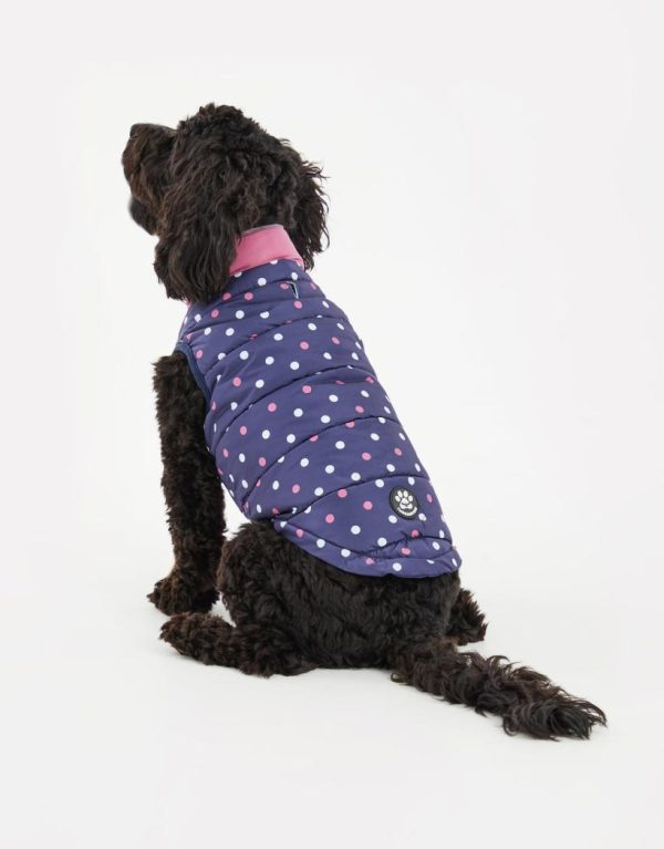 Foggyshore.shop5a00741ada 3