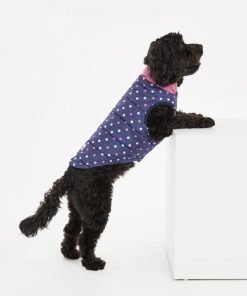 Foggyshore.shop5a00741ada 4