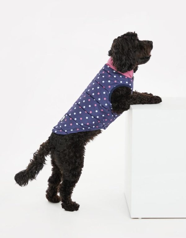 Foggyshore.shop5a00741ada 4