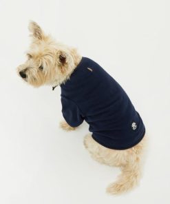 Foggyshore.shop5bb3e24518 1