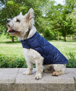 Foggyshore.shop661c905ae9 1