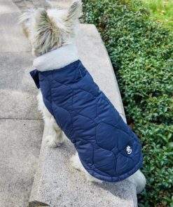 Foggyshore.shop661c905ae9 2