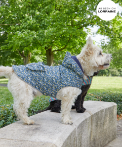 Foggyshore.shop669ede022d 1