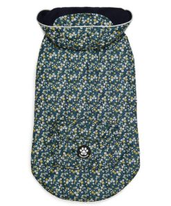 Foggyshore.shop669ede022d 2