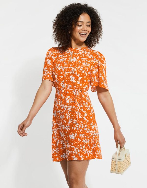 Foggyshore.shop69a61b44d3 1