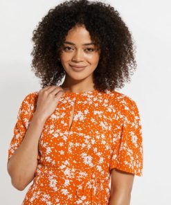 Foggyshore.shop69a61b44d3 4