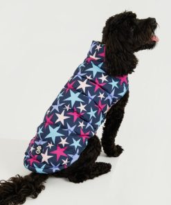 Foggyshore.shop6f56115e0c 1