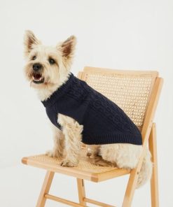 Foggyshore.shop930fe8dbb1 1