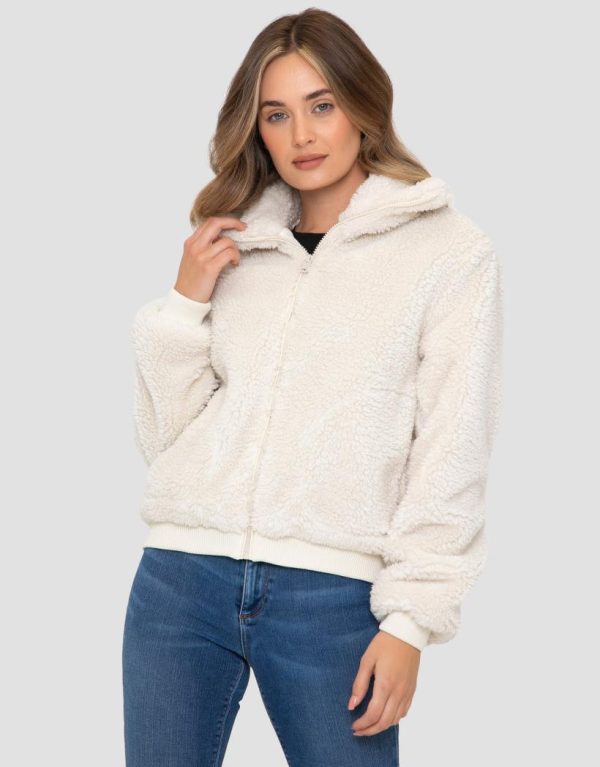 Foggyshore.shop9914ec11dc 1