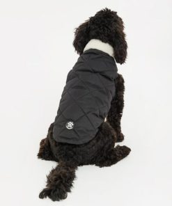 Foggyshore.shop9e598d7513 2