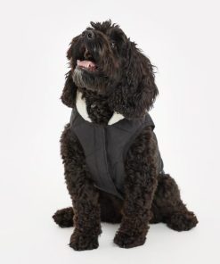 Foggyshore.shop9e598d7513 3