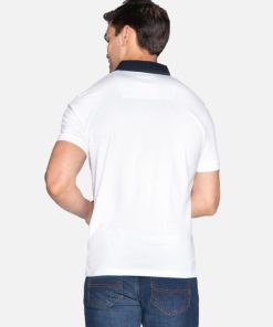 Foggyshore.shopb41b512ebd 2