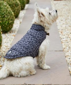 Foggyshore.shopc0a8f85e50 1