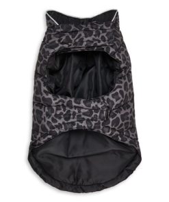 Foggyshore.shopc0a8f85e50 4