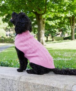 Foggyshore.shopc35f7c3ce9 1