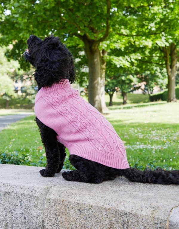 Foggyshore.shopc35f7c3ce9 1