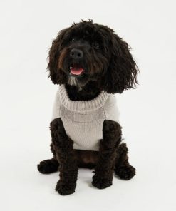 Foggyshore.shopcc764eb48c 1