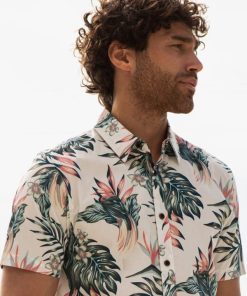 Foggyshore.shopcd234ec2b0 4