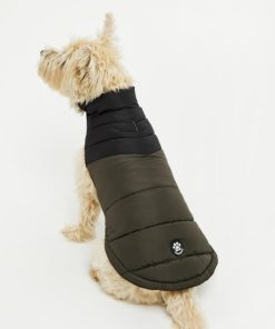 Foggyshore.shopd53da37399 1