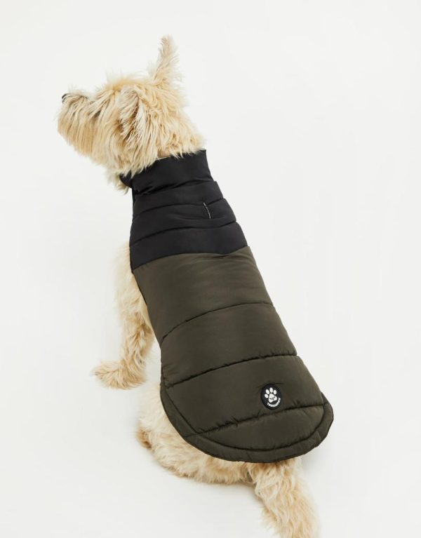 Foggyshore.shopd53da37399 1