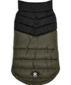 Foggyshore.shopd53da37399 2