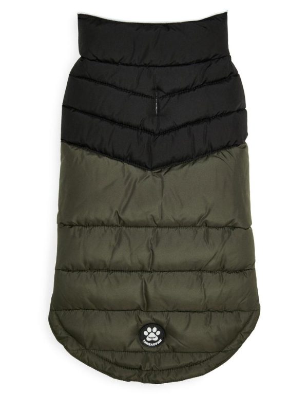 Foggyshore.shopd53da37399 2