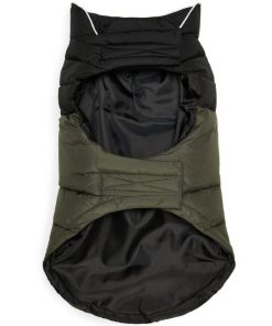 Foggyshore.shopd53da37399 3