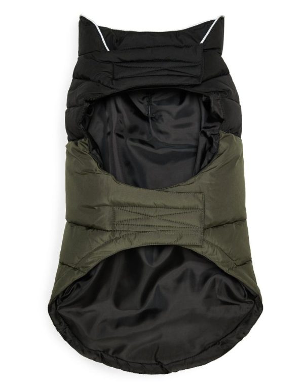 Foggyshore.shopd53da37399 3