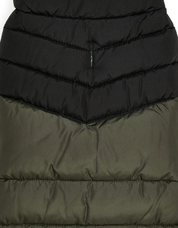 Foggyshore.shopd53da37399 4