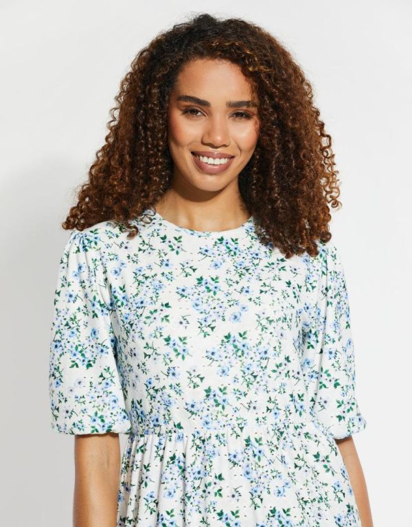 Foggyshore.shope0542514e1 4