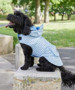 Foggyshore.shopf8da4a7d55 1