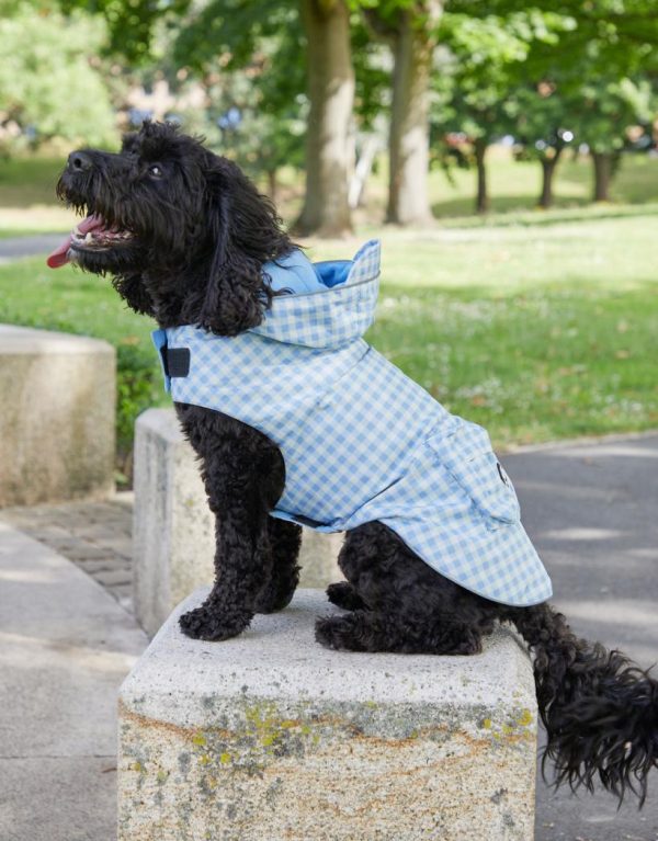 Foggyshore.shopf8da4a7d55 1